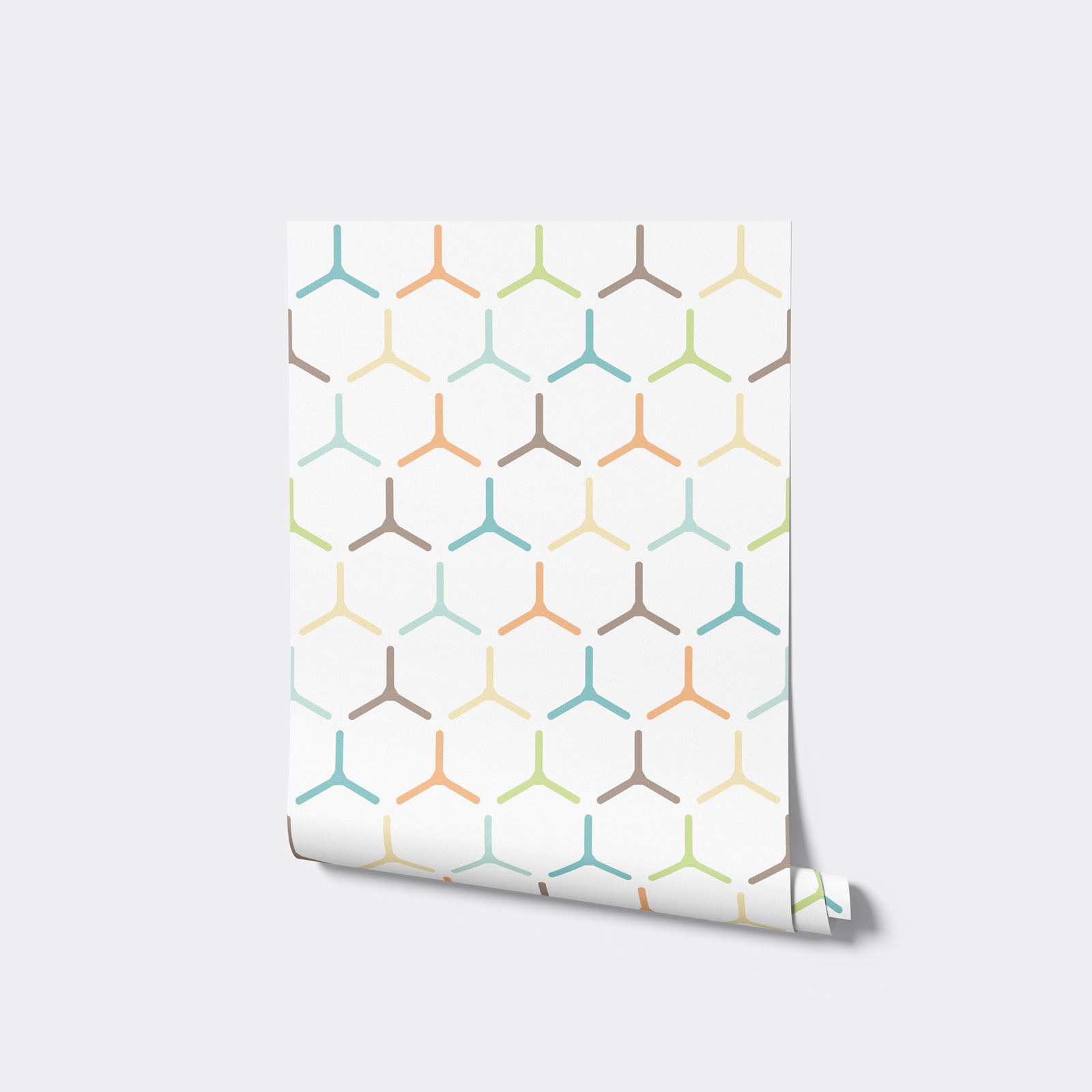 Colored Polygon