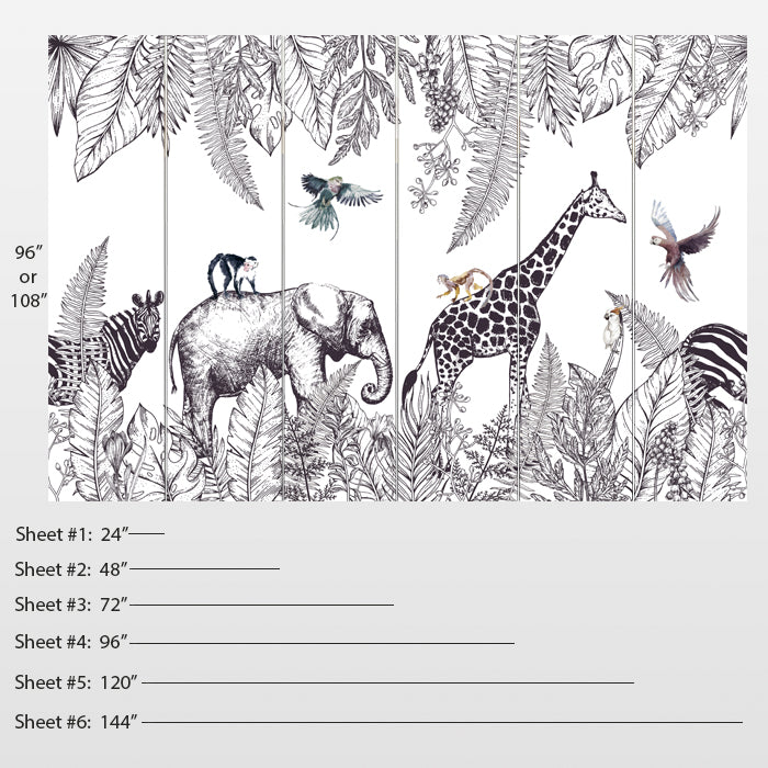 Safari