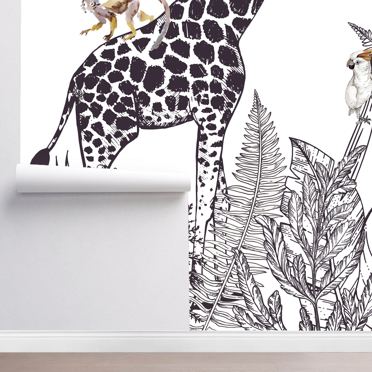 Safari