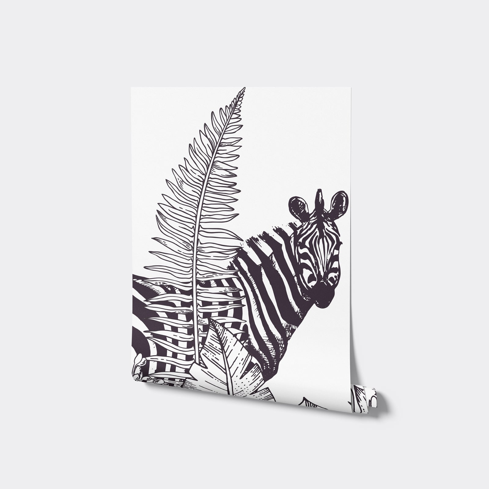 Safari
