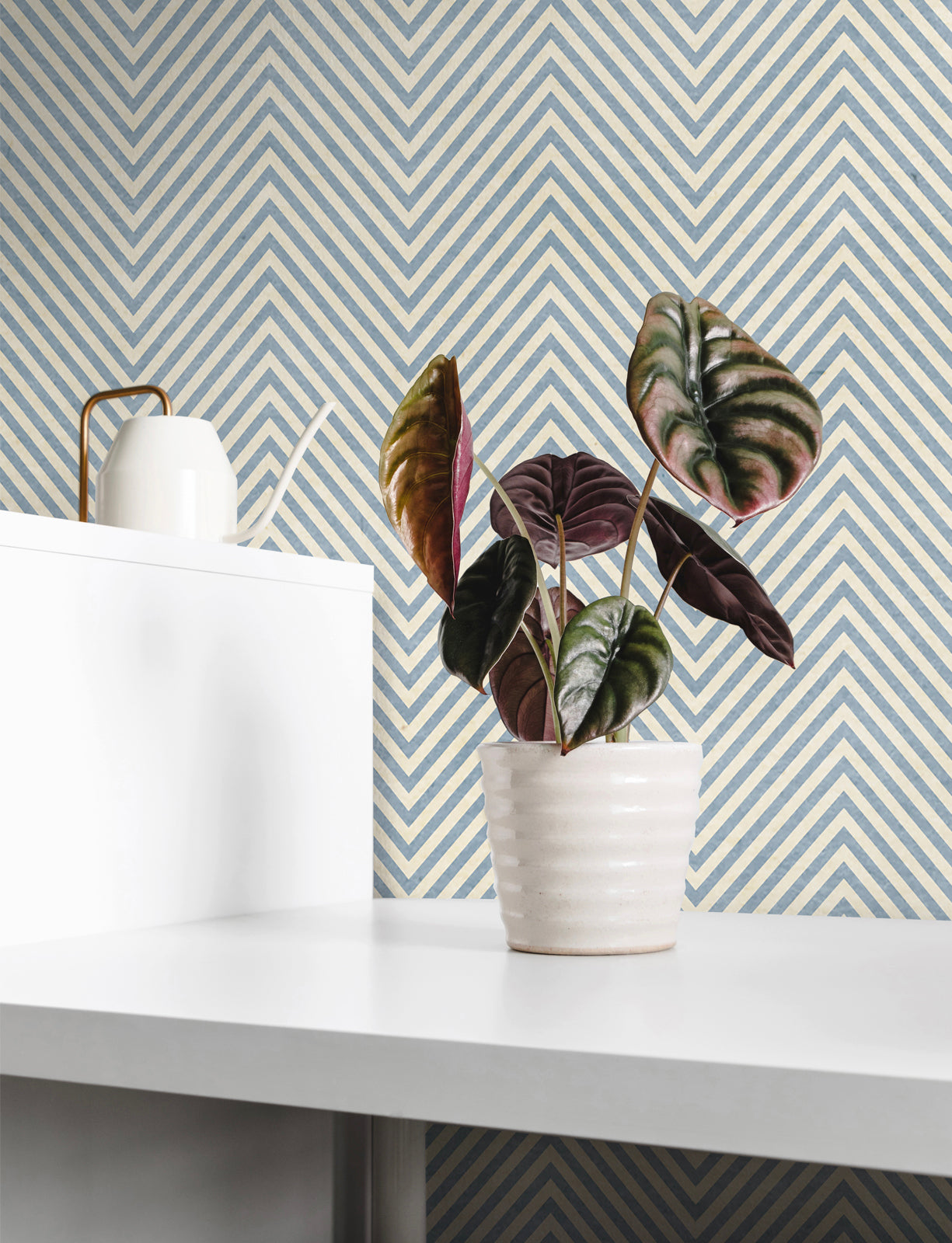 Seasalt Chevron