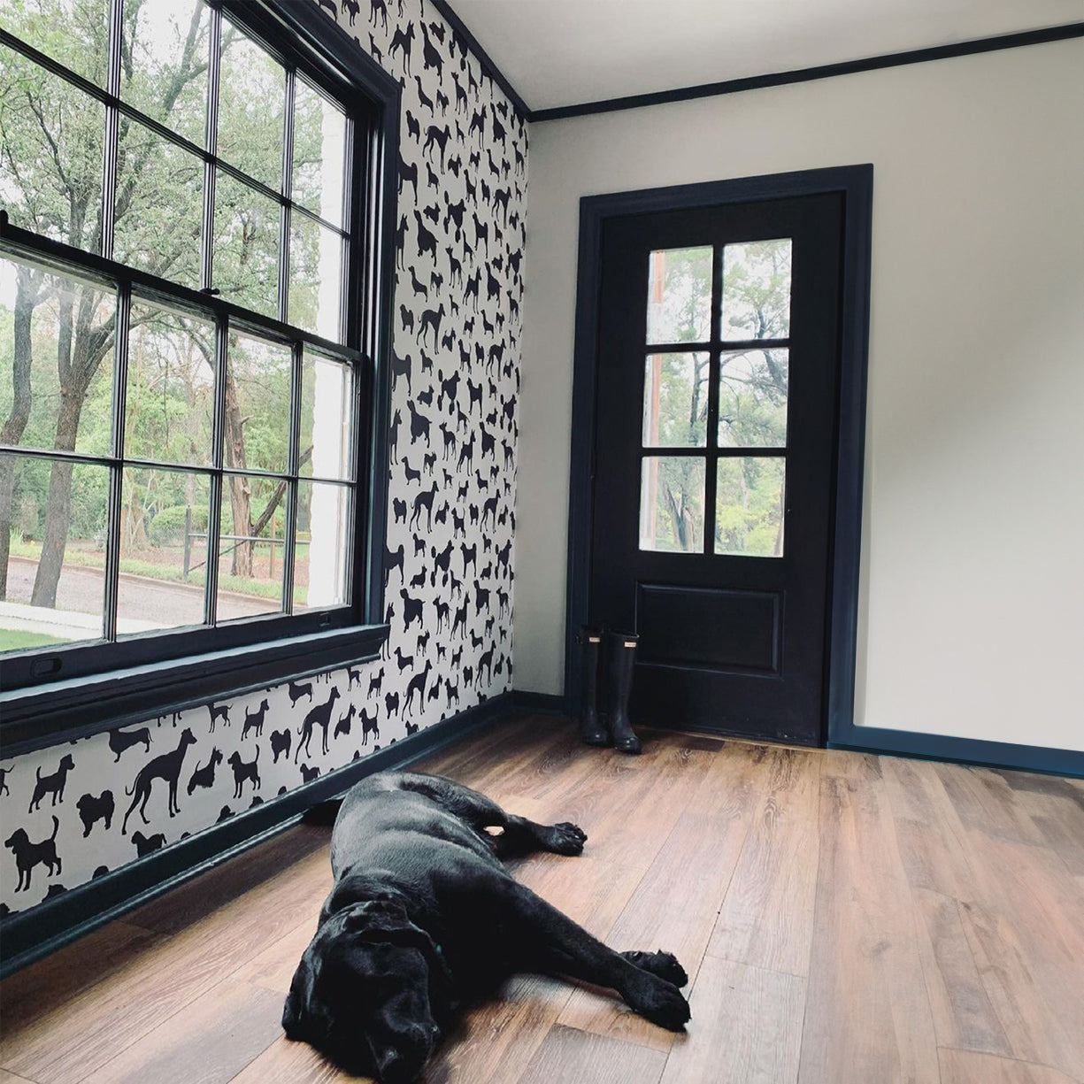 Black Dogs